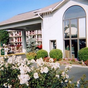 mountain trace inn pigeon forge tn